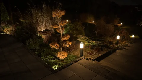 Peaceful evening setting with soft lighting